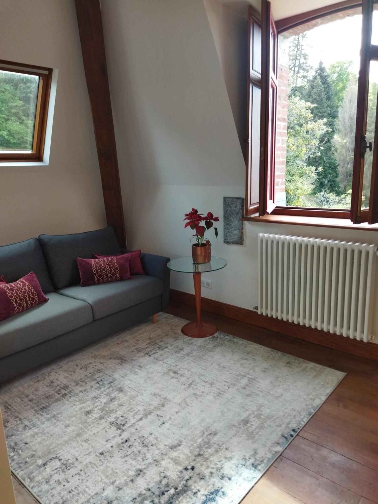 Domaine De La Tisnere Bed and Breakfast Gelos Rum bild
